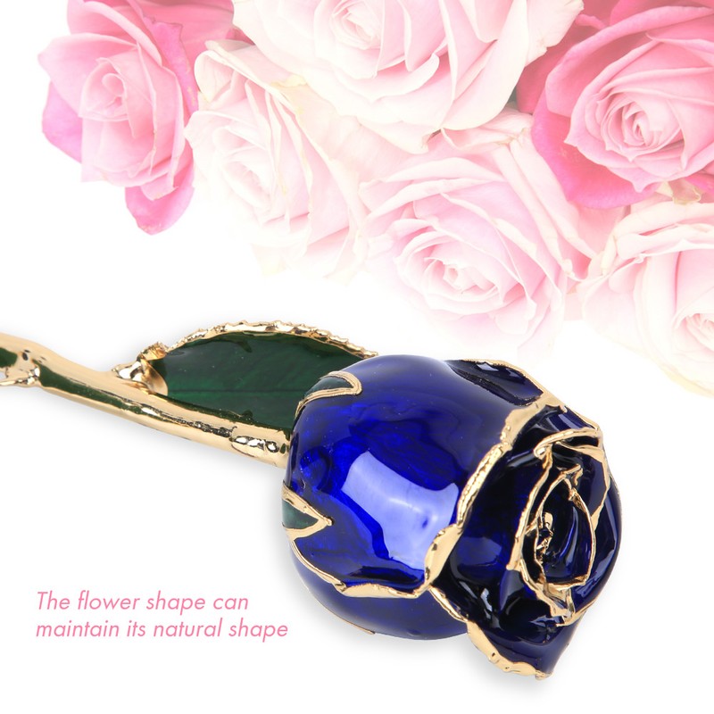 Golded Rose Flower Gift 24K Bright Deep Blue Base for