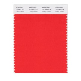 PANTONE Smart 17-1563X Color Swatch Card, Cherry Tomato