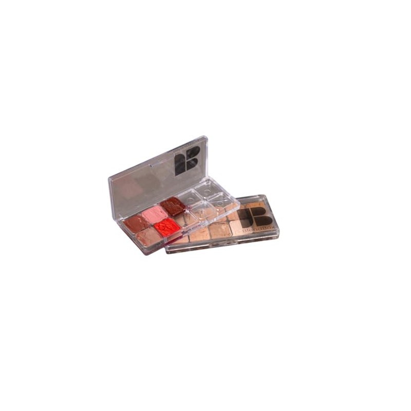 Makeup Palette Pro Paleta Vacía de Maquillaje Transparente con 10