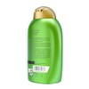 OGX Rosemary Mint XS Shampoo 13oz