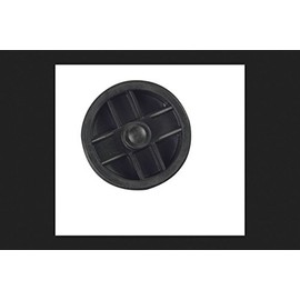 Sioux Chief Recessed Plug 2 " Abs Polypropylene Brass