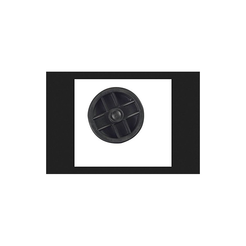 Sioux Chief Recessed Plug 2 " Abs Polypropylene Brass