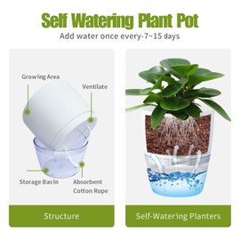Oliz 6 Inch Self Watering Plastic Plant Pots for Indoor Plants - 3 Pack White Orchid Planters with Wick Ropes & Drainage Holes, Modern Decorative Garden Pots with Water Reservoir