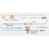 Sunline Ayu Complete Edition Nylon No. 0.2