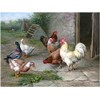 Pecking Order Farmyard Rooster Hens Ducks by Edgar Hunt Accent