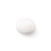 Paula Cosmology Lotion Cream [Lotion, Moisturizing Milky Lotion, Cream]