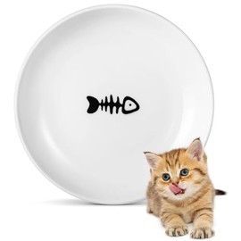 Platos de cerámica: cuencos de comida húmeda para gatos y cuencos poco profundos para gatitos y animales pequeños