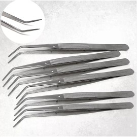 HTI Brand 6Pcs College Tweezers / Cotton Dressing Pliers 6" Size Dental Surgical New Set