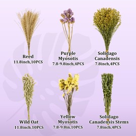 Sukh Sukh Herb Bedding Habitat Decor - Natural Flower Hamster Mate Herbs Sprays Cage Safe Pet Accessories Decorations Hideout for Hamsters Mouse Guinea Pig Dwarf Gerbils Syrian Mice