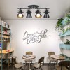 SEEBLEN 4-Light Track Lighting Kit, Directional Ceiling Light, Industrial Black
