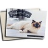 Fava Bean Productions RAGDOLL Greeting Card with Envelope - Thinking