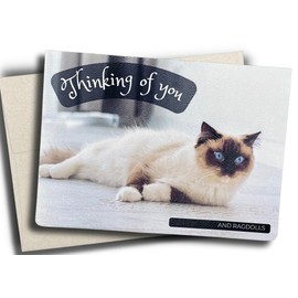 Fava Bean Productions RAGDOLL Greeting Card with Envelope - Thinking of You (5X7 inch) with Envelope. Funny Message Inside. Great for Cat Lovers.