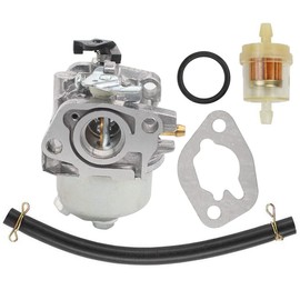 Carburetor Carb for Mountfield Champion SV150 RV150 M150 RM45 V40 V35 Petrol Lawnmower