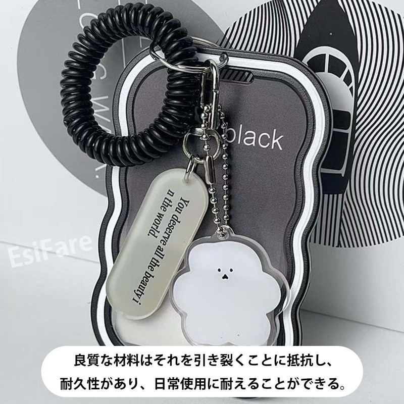EsiFare Card Holder, Double-Sided Clear Transparent Pass Case, 2-Piece Set,