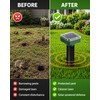 2-Pack Solar Sonic Garden Stakes for Outdoor Use – IP44