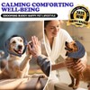 Dog Calming Hoodie for Anxiety Relief - Happy Quiet Dog