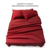 Blumtal Flat Sheet 180 x 275 cm - Easy Care