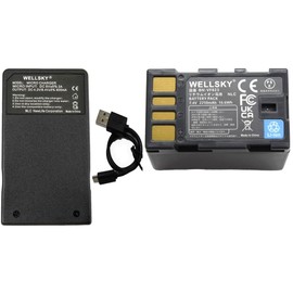 WELLSKY BN-VF823 BN-VF815 BN-VF808 互換バッテリー 1個 + AA-VF8 超軽量 USB Type-C 互換充電器 1個 [ 2個セット ] [ 純正充電器で充電可能 残量表示可能 純正品と同じよう使用可能 ] ビクター Everio エブリオ