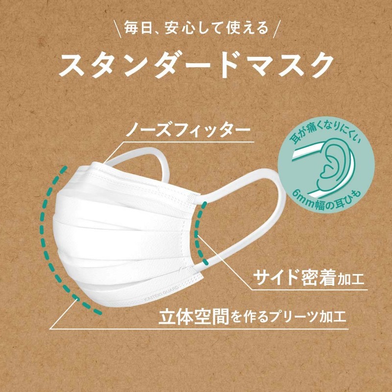 Hakugen Earth Comfort Guard Standard Mask, 40 Pieces