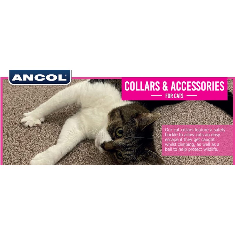Ancol Hi-Vis Cat Collar Green