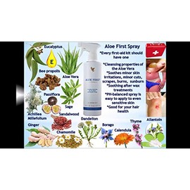 Forever Living Products Forever Aloe First 16 Fl Oz - Pack of 2