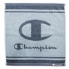 Champion 5065018900 Wash Towel, Approx. 13.4 x 14.2 inches (34
