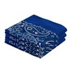 EVERY-VILLE Where EVERYone is Welcome - Bandanas clásicas de cachemira