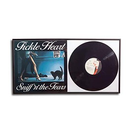 Protected Vinyl Record Cover and Vinyl Photo Frame