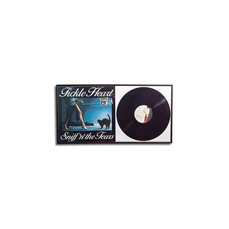 Protected Vinyl Record Cover and Vinyl Photo Frame