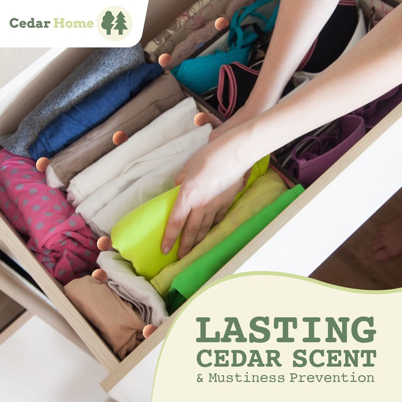 Cedar Hyde Cedar Blocks for Clothes Storage | Cedar Balls