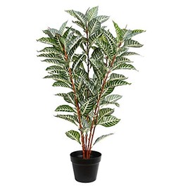 Vickerman Everyday Artificial Green Real Touch Zebra Plant 35 Inch - Lifelike Home Office Decor - Faux Indoor Potted Plant - Maintenance Free