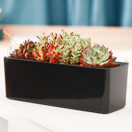 2 Pack Rectangular Planter 15.6 x 5.4 in Self Watering Planter Window Sill Planters Indoor Rectangle Planter Self Watering Pots Plastic Plant pots with Drainage Holes Black Flower Pot (Black)