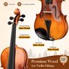 CAHAYA Violin 4/4 Full Size - Full Wooden Violin Set