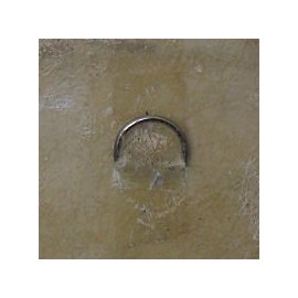 Carthage Mosaics CMS0057 Circus Horse Mosaic