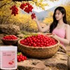 Domestic Unsweetened Cornus officinalis Powder Domestic Cornus officinalis Fruit /