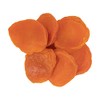 Dried Apricots, CA Extra Fancy 1 lb