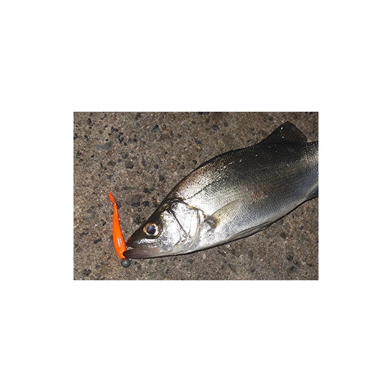Berkley Gulp! SW Minnow 2" Pearl White G2SQM2-PW Azing Meval