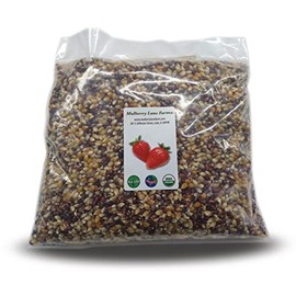 Multi-colored Popcorn Popping Corn 5 Pounds (Calico or Rainbow) Kernels, USDA Certified Organic, Non-GMO Bulk, Product of USA