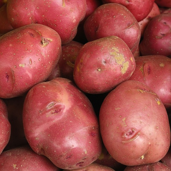 Red Potatoes, 10 lb