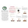 American Red Maple Shade Tree - Live Plant Shipped 3
