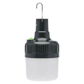 LitezAll 24723 Rechargeable 200 Lumen Bulb