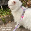 Max and Molly Adjustable Cat Harness and Leash Set -