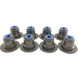 Fits Polaris RZR General Ranger Turbo XP Ace 900 1000 FKM Valve Stem Seals (8) 3610212