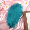 iHUFeather 20pcs Peacock Blue Ostrich Feathers Natural Bulk 10-12Inch 25-30cm