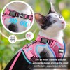 Cat Harness and Leash for Walking, The Upgrade Can be