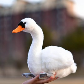 LIUHONGFEI Juguete de peluche de cisne de simulación, muñeca de peluche de patito feo, color negro. Hay alambre de aluminio en el cuello para apoyo. Cisne blanco