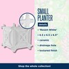 Lilly Pulitzer Small Planter for Indoor Plants or Flowers, Ceramic