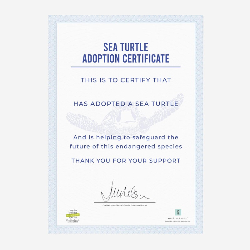 Gift Republic: Adopt a Sea Turtle
