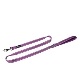 Small Dog Leash Designed for Small Dogs, Featuring Reflective Training Functionality with A Neoprene Handle.Ideal for Walks, Runs, and Training Sessions. Dimensions: 3/5" X 5 ft,Amy Green,Size XS