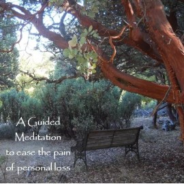 MindStyle A Guided Meditation to Ease the Pain of Personal Loss ~Dr. Ginny Lucas, CD & mp3